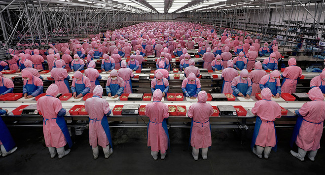Edward Burtynsky