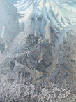 Julie b na   givre   l md galerie tiny