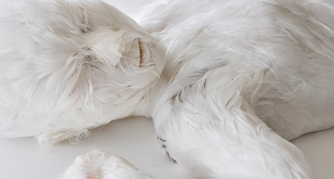 Lucy Glendinning