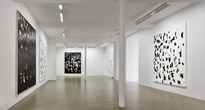 Debris Field/Notes for a Poem on the Third World/Soleil Nègre - Galerie Chantal Crousel