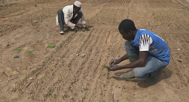 Soils Affinities - Les Laboratoires d’Aubervilliers