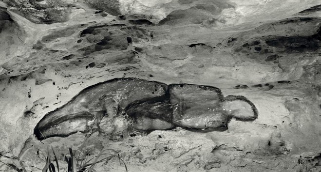 Ana Mendieta - Galerie Lelong & Co