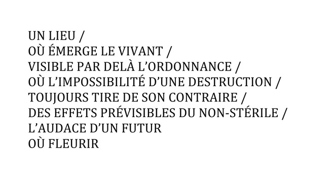 Lois Weinberger - Salle Principale — la galerie