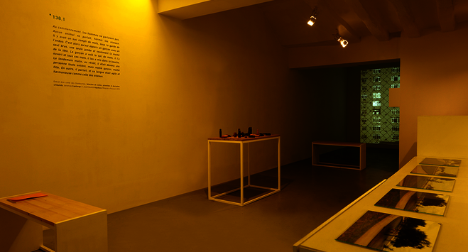 Protopoème : Sol, Sono & Urubus - Galerie Dohyang Lee