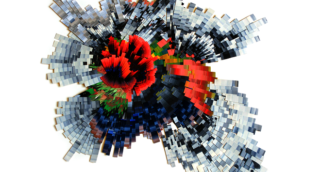 Lyndi Sales - Galerie Maria Lund