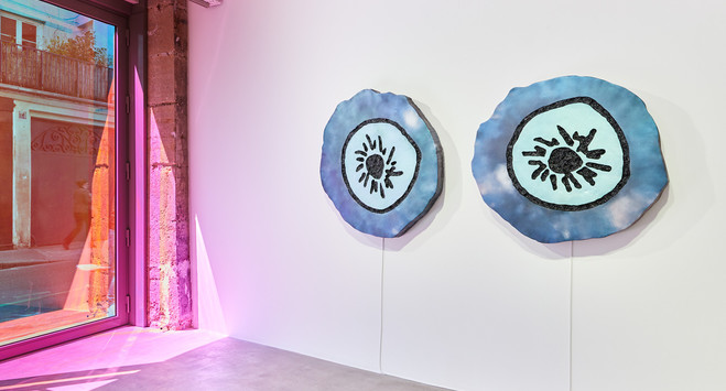 Virginie Yassef - Galerie G-P & N Vallois
