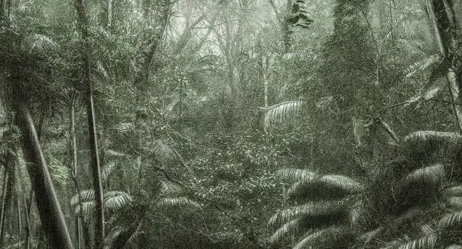 Nous les Arbres - Fondation Cartier pour l’art contemporain