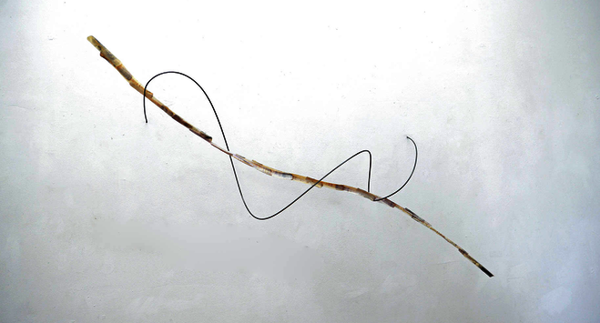 Pororoca - Laure Roynette Gallery