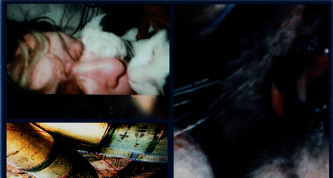 Carolee Schneemann - Mfc – Michèle Didier Gallery