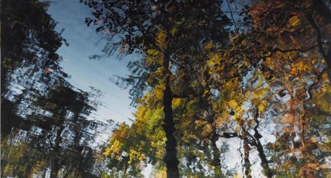Abbas Kiarostami - Centre Georges Pompidou