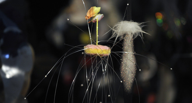 Big Bang Boom ! A cosmic Poetry - Maëlle Galerie