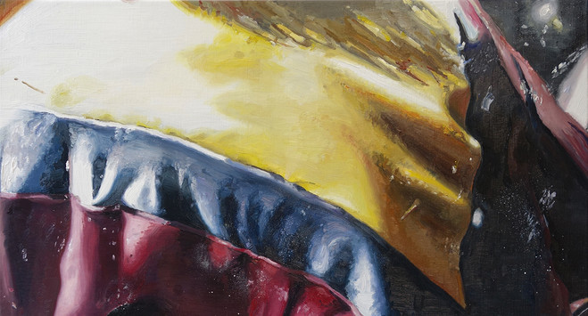 Mireille Blanc - Espace d’art contemporain Camille Lambert