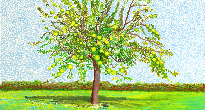 David Hockney - Lelong & Co Gallery