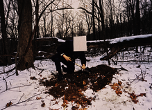 Edgar Sarin - Centre d'Art Contemporain Chanot CACC