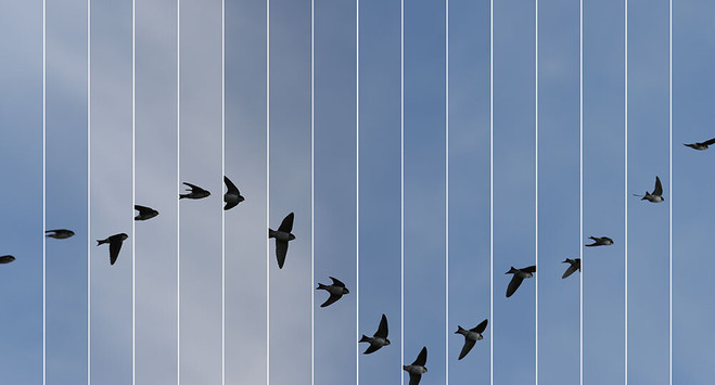 Edouard Taufenbach & Régis Campo — Le Bleu du Ciel - Thierry Bigaignon Gallery