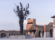 Biennale de Venise - Jardins de la Biennale de Venise
