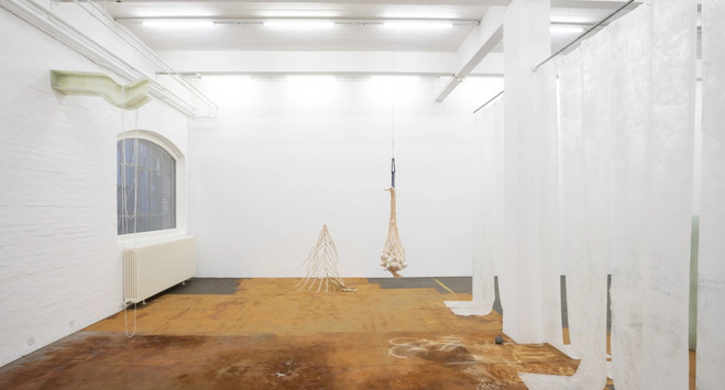 Sofia Salazar Rosales - Galerie Bremond Capela