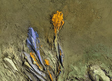 La nature en question - Galerie Berthet – Aittouarès