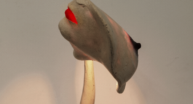 Alina Szapocznikow - Lieu indépendant