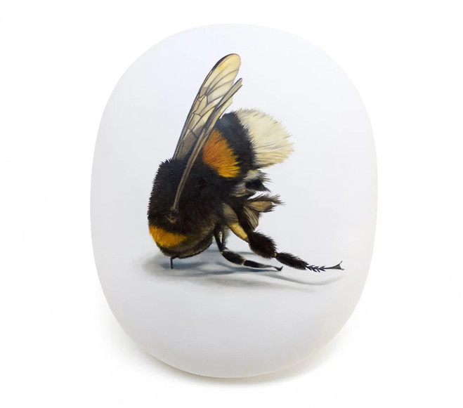 France Bizot - Backslash Gallery