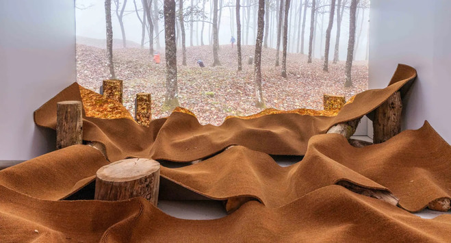 Thibault Lucas - Mémorial de Verdun