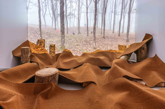 Thibault Lucas - Mémorial de Verdun