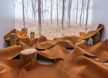 Thibault Lucas - Mémorial de Verdun