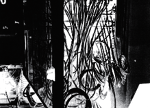 Data Ich - Les  Bains-Douches d'Alençon