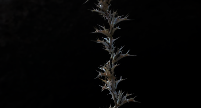 Camille Pradon -  lilia ben salah Gallery