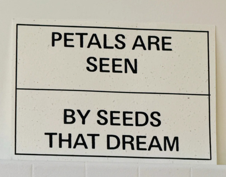 Abbas zahedi frieze award 1 large2