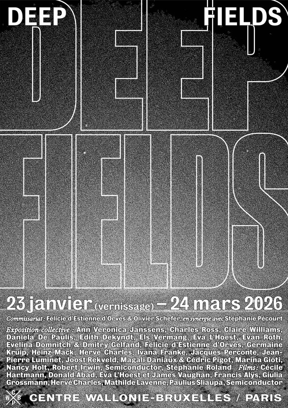Deep Fields  - Centre Wallonie–Bruxelles
