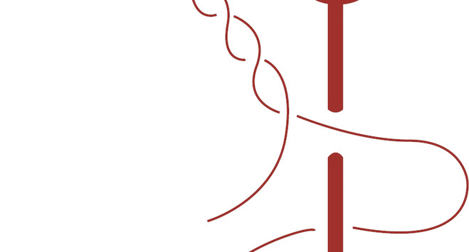 Ruoxi Jin - Frac île-de-france, le Plateau