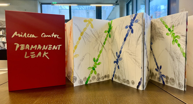 La galerie des quiproquos - MAC VAL Musée d'art contemporain du Val-de-Marne