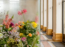 Jesse Darling - Palais de Tokyo