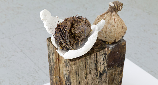 Emma Bourgin, Julie Genelin, Léonard Nguyen Van Thé - Espace d’art contemporain Camille Lambert