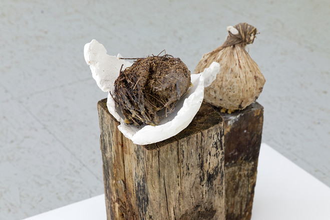 Emma Bourgin, Julie Genelin, Léonard Nguyen Van Thé - Espace d’art contemporain Camille Lambert