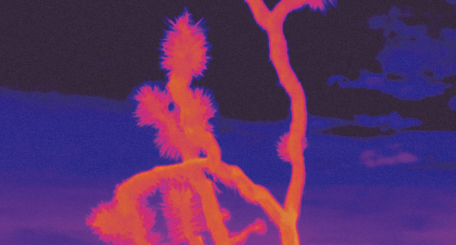 SMITH - MAC VAL Musée d'art contemporain du Val-de-Marne