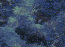 L. Camus-Govoroff - Edouard-Manet de Gennevilliers Gallery