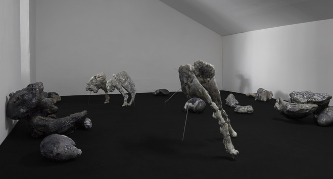 Giulia Cenci - La Ferme du Buisson