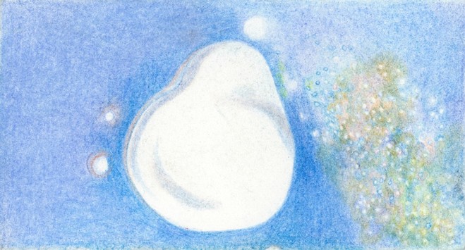 Lucile Boutin - Frac île-de-france, le Plateau