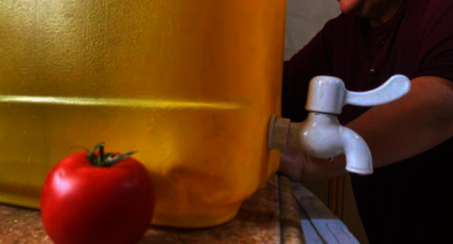 The Grain of Our Hearts - La  Fab.