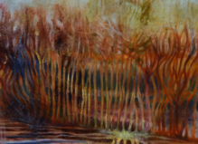 Sous les racines, le ciel - Lieu indépendant