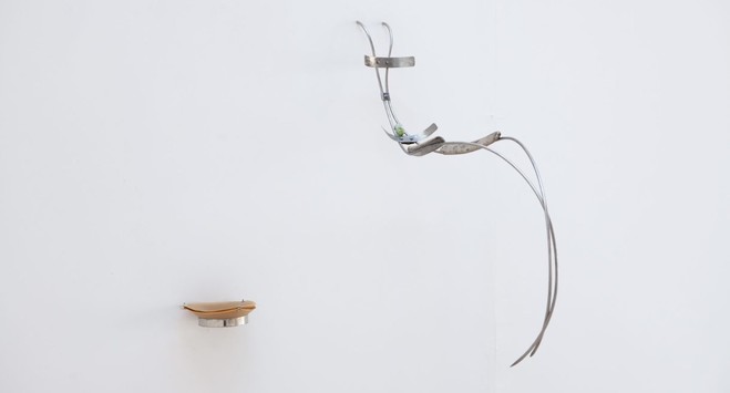 Anna de Castro Barbosa