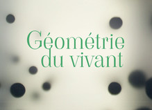 Géométrie du vivant - Topographie de l’art