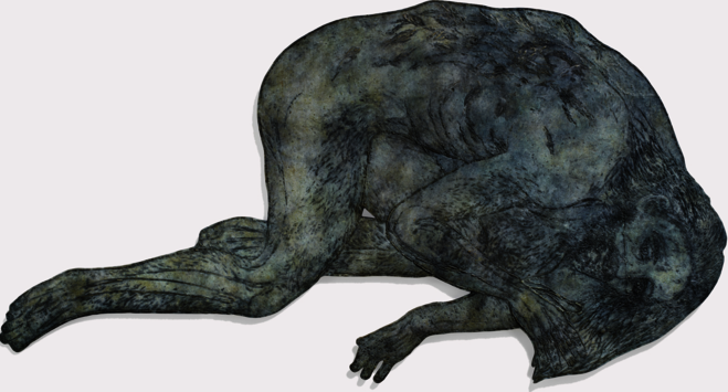 Kiki Smith - Mo.Co