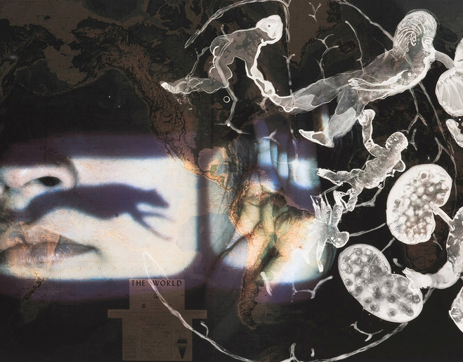 Mamma Andersson, Nalini Malani, Alison Saar - Lelong Gallery