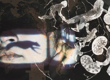 Mamma Andersson, Nalini Malani, Alison Saar - Lelong Gallery