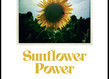 Sunflowerpower visuel3 2 grid