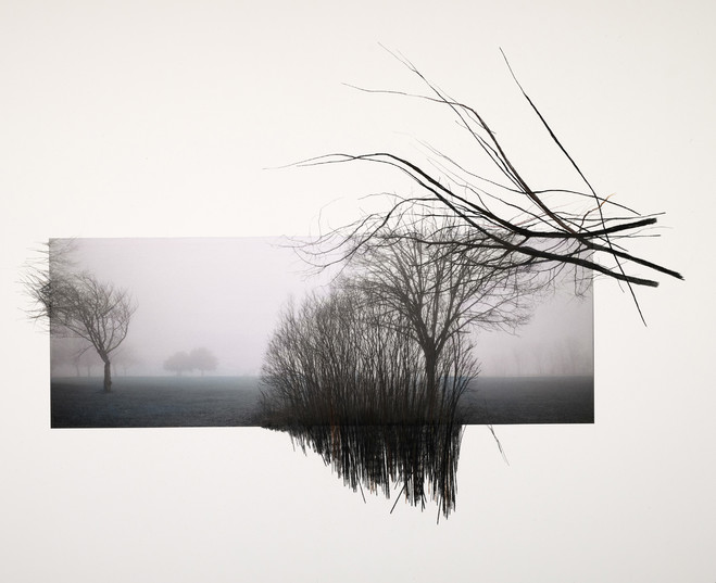 Dana Cojbuc - Putman Gallery