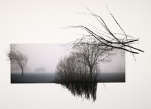 Dana Cojbuc - Putman Gallery